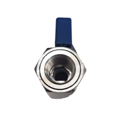 1/4" NPT F-M ball valve blue knob