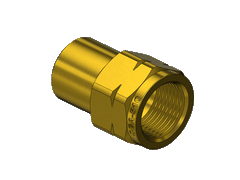 Type 21 POL (CGA510) female to ¼" NPT female