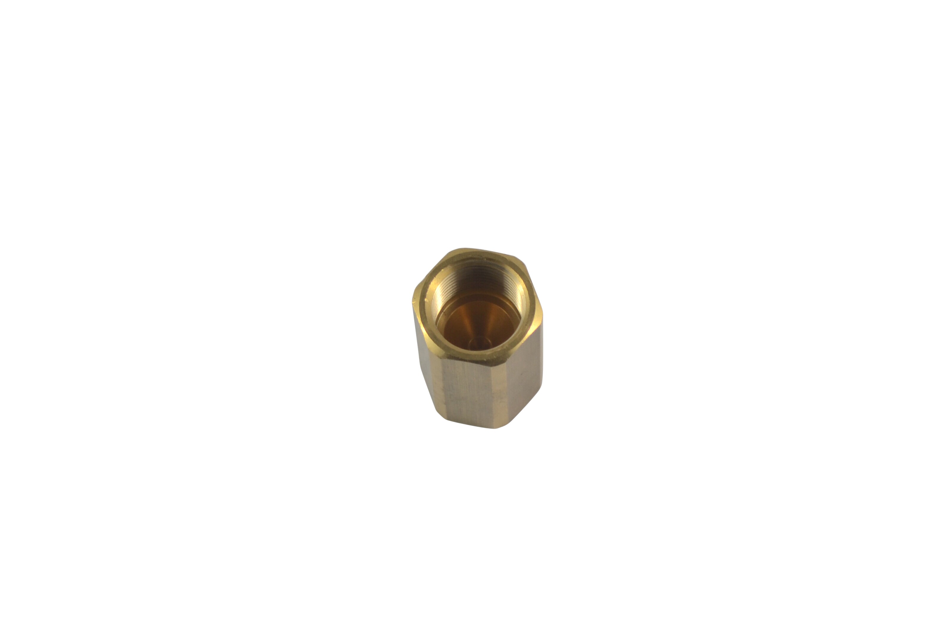 Type 10 female cap